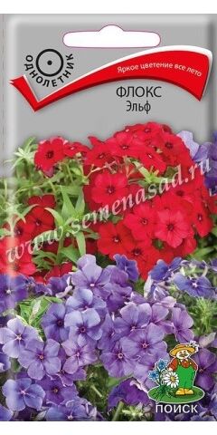 Флокс Эльф (Код: 88348)
