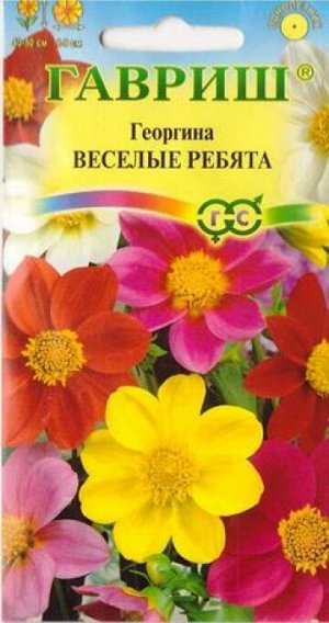 Георгина Веселые ребята смесь (Код: 9273)