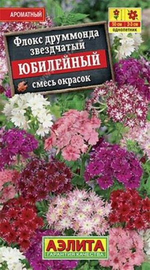 Флокс Юбилейный (Код: 86095)