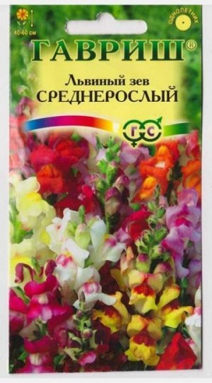 Львиный зев Среднерослый смесь (Код: 9909)