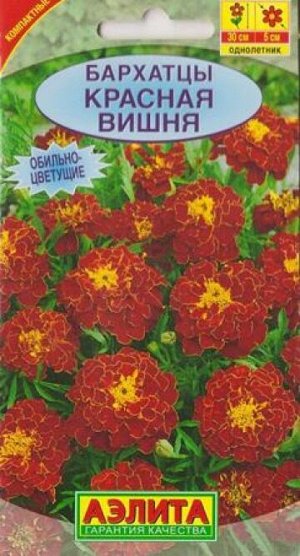 Бархатцы Красная Вишня (Код: 6419)