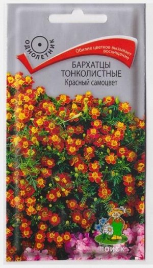 Бархатцы Красный Самоцвет (Код: 8745)