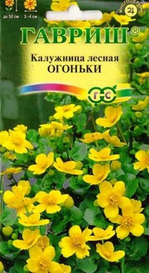 Калужница лесная Огоньки (Код: 86970)