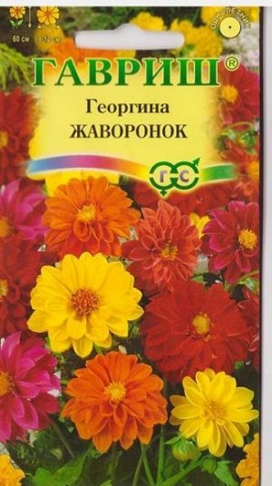 Георгина Жаворонок смесь (Код: 14522)