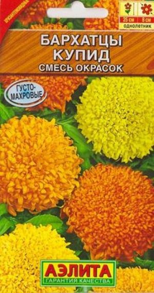 Бархатцы Купид Хризантемовидные смесь (Код: 5235)
