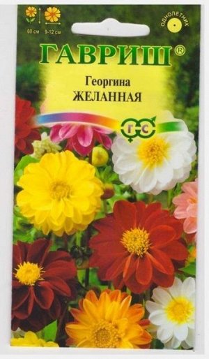 Георгина Желанная смесь (Код: 14227)