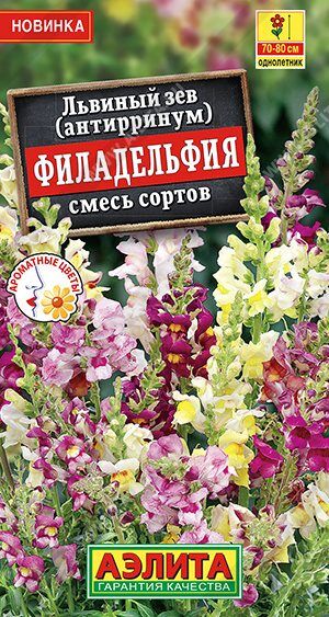 Львиный зев Филадельфия, смесь (Код: 89539)