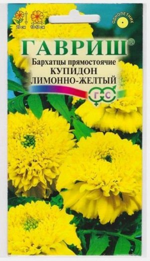 Бархатцы Купидон лимонно-желтый (Код: 13069)