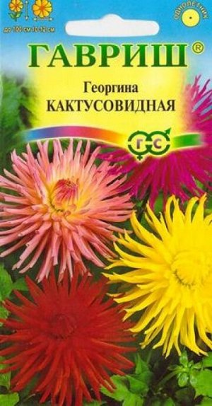 Георгина Кактусовидная смесь (Код: 13451)