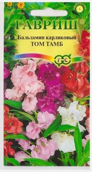 Бальзамин Том Тамб (Код: 11416)