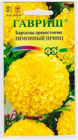 Бархатцы Лимонный Принц (Код: 9551)