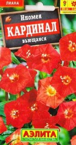 Ипомея Кардинал (Код: 87667)