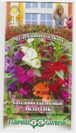 Бальзамин Экзотик (Код: 15607)