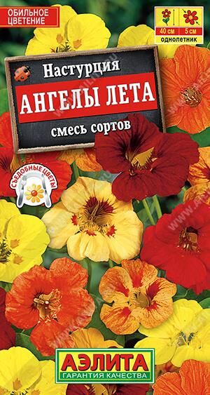Настурция Ангелы лета (Код: 10761)