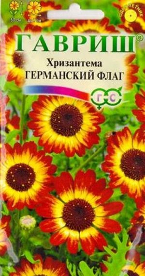 Хризантема Германский флаг (Код: 68669)