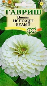 Цинния Исполин белый (Код: 82837)