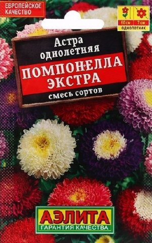 Астра Помпонелла Экстра (смесь) лидер (Код: 89698)