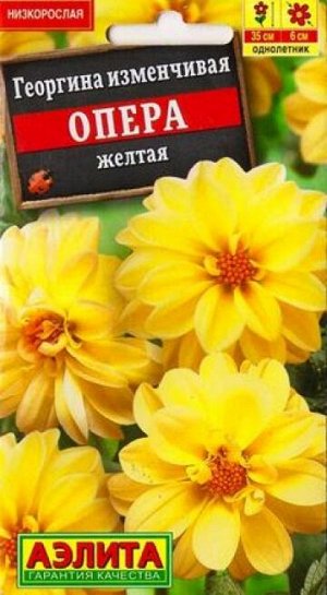 Георгина Опера Желтая (Код: 10525)