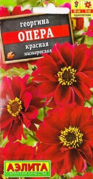 Георгина Опера Красная (Код: 82944)