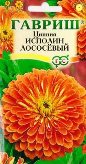 Цинния Исполин лососевый (Код: 83268)