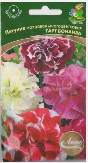 Петуния Тарт Бонанза (Код: 65599)