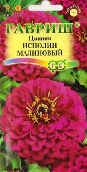 Цинния Исполин малиновый (Код: 83269)