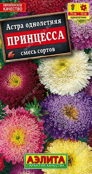 Астра Принова, смесь (Код: 89499)