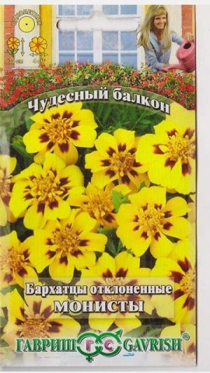 Бархатцы Монисты (Код: 16350)