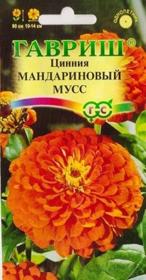 Цинния Мандариновый мусс (Код: 13142)