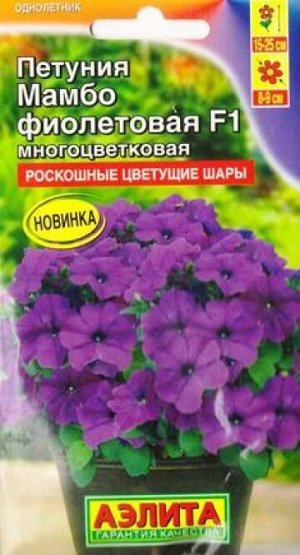 Петуния Мамбо фиолетовая F1 (Код: 83318)