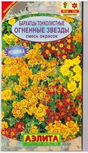 Бархатцы Огненные Звезды смесь окрасок (Код: 76213)