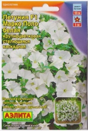Петуния Марко Поло F1 Белая (Код: 67499)