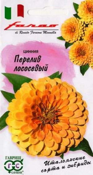 Цинния Перелив Лососевый (Код: 82732)