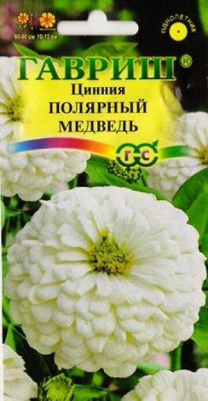 Цинния Полярный медведь (Код: 180)