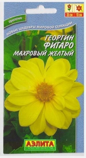 Георгина Фигаро желтый (Код: 11361)