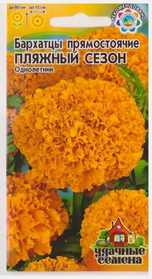 Бархатцы Пляжный сезон (Код: 15655)