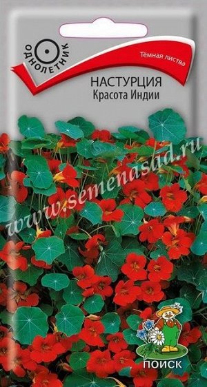 Настурция Красота Индии (Код: 65968)