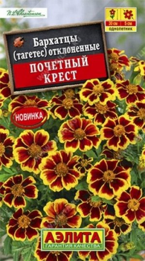 Бархатцы Почетный Крест (Код: 85997)