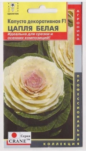 Капуста Декоративная Цапля Белая (Код: 75714)