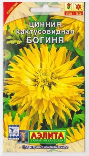 Цинния Богиня кактусовидная (Код: 12859)