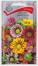 Газания Садовая звезда (Код: 67296)