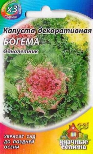 Капуста декоративная Богема (Код: 86429)