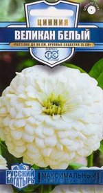 Цинния Великан белый (Код: 84696)