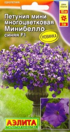 Петуния Минибелло мини синяя F1 (Код: 85161)