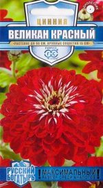 Цинния Великан красный (Код: 84698)