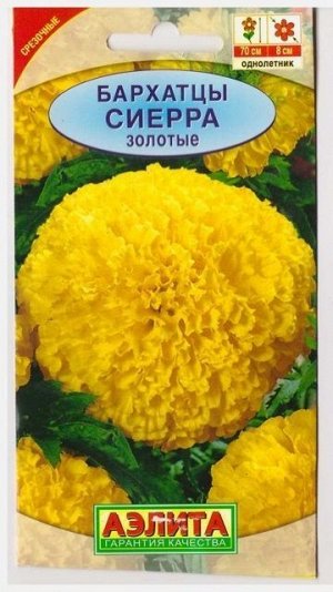 Бархатцы Сиерра Золотые (Код: 550)