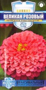 Цинния Великан розовый (Код: 85000)