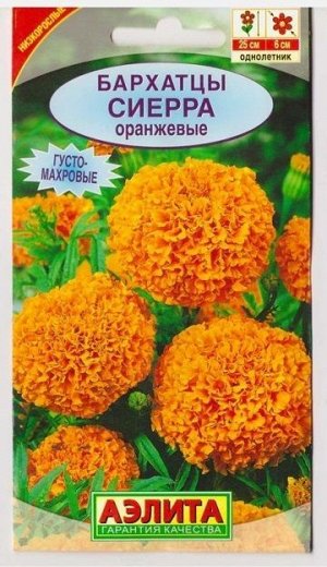 Бархатцы Сиерра Оранжевые (Код: 8744)