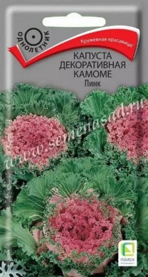 Капуста декоративная Камоме Пинк (Код: 88112)