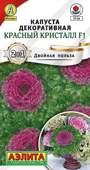 Капуста декоративная Красный кристалл F1 (Код: 89533)